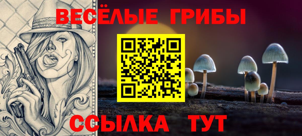 Псилоцибиновые грибы Psilocybine cubensis Шатура