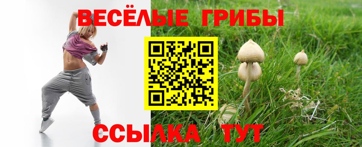 Шатура  Псилоцибиновые грибы мицелий  Вход с VPN 